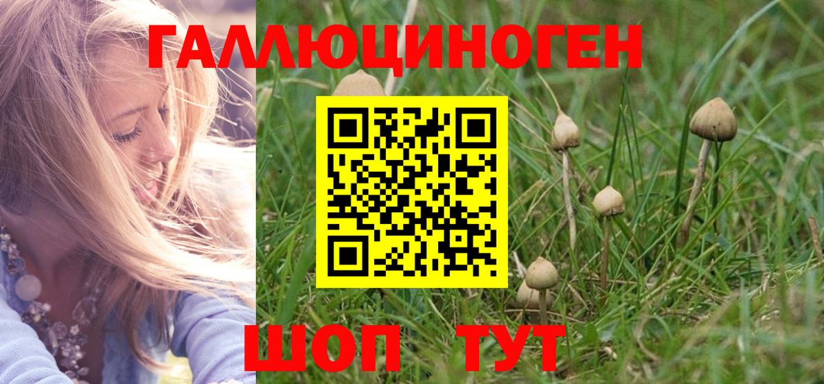 Галлюциногенные грибы мицелий Донской